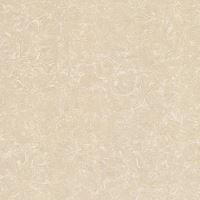 Gạch lát nền Viglacera TS2-612 (60x60cm) Gạch lát nền Viglacera TS2-612 (60x60cm)