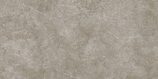 Gạch ốp tường Viglacera 3603  (30 x 60 cm)
