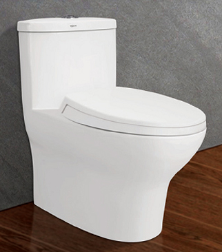Bồn cầu Viglacera 1 khối V37M