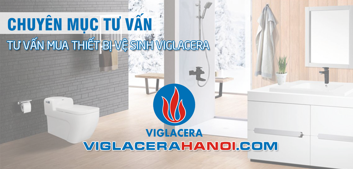 Tư vấn mua thiết bị vệ sinh viglacera